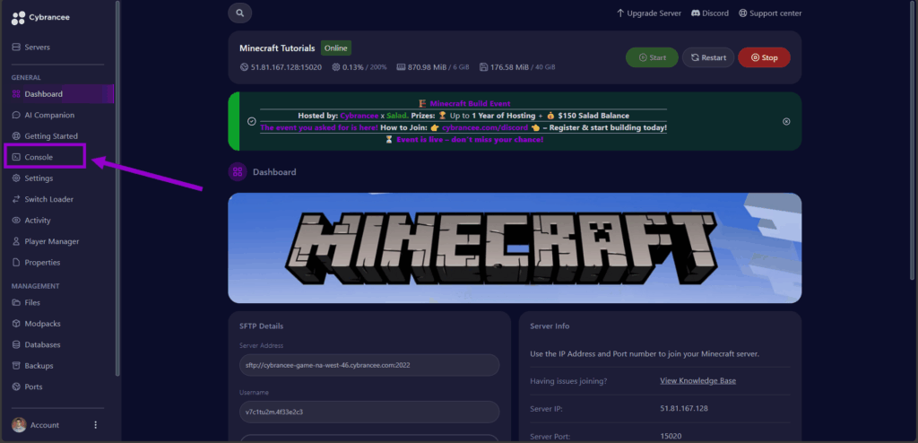 minecraft java edition with console outlined