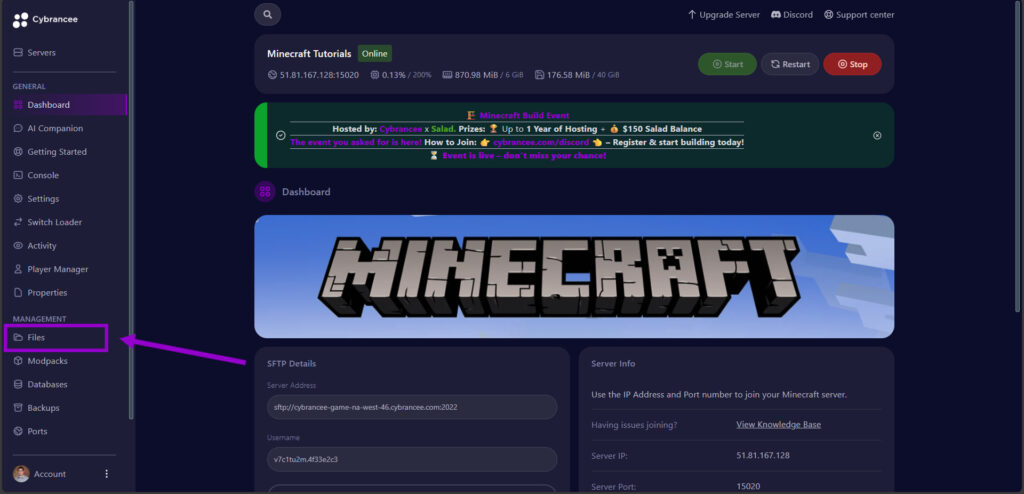 Cybrancee panel dashboard, with files tab outlined
