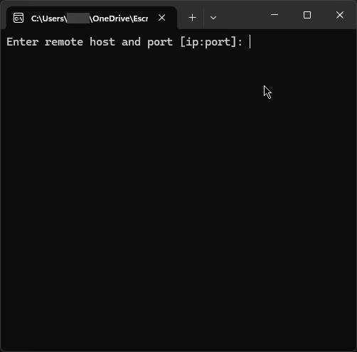 rcon client interface edited