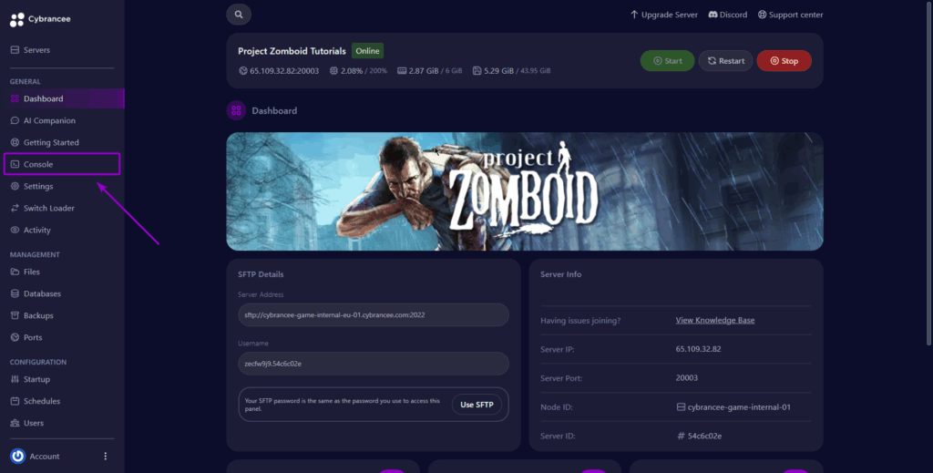 Cybrancee panel Project Zomboid server dashboard, with console tab outlined