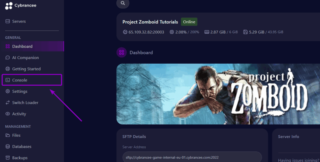 Cybrancee panel Project Zomboid server dashboard, with console tab outlined with arrow