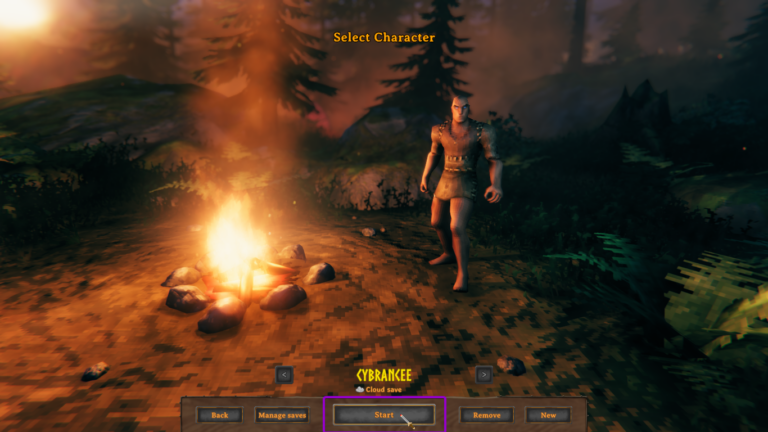 Valheim select character screen
