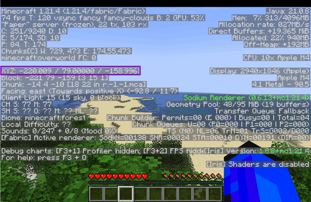 Box around coordinates in F3 menu Minecraft