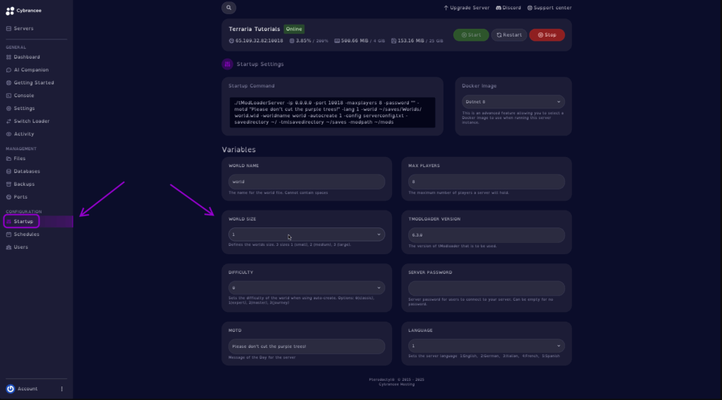 Cybrancee Panel With the Terraria Startup Tab Selected Showing the World Size Config Section
