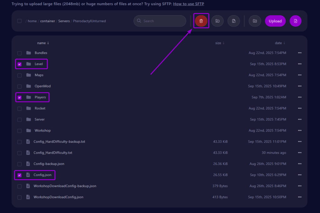Cybrancee Panel Unturned World Folders Selected with Delete Option Outlined