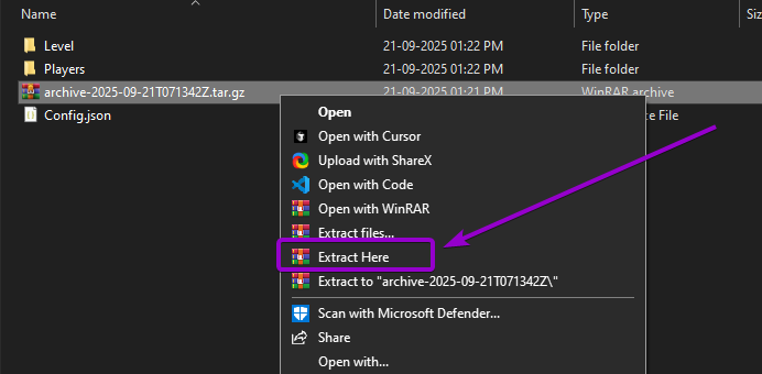 File Explorer World File Right Click Menu with Extract Option Outlined