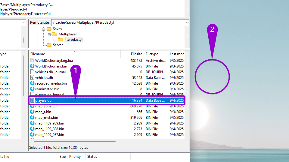 Steps to move the player.db file to the desktop