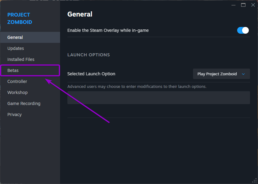 Version launcher from the Project Zomboid properties menu on Steam