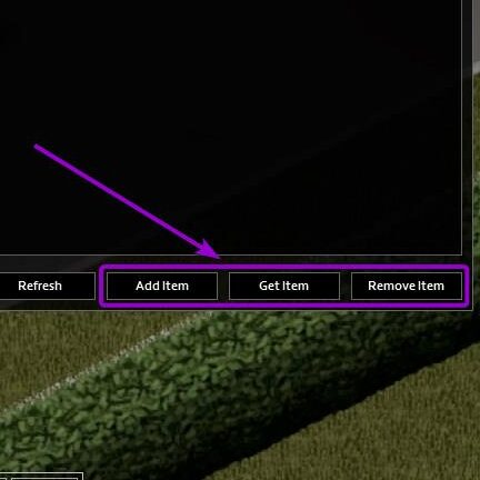 Buttons for interacting with another player's inventory