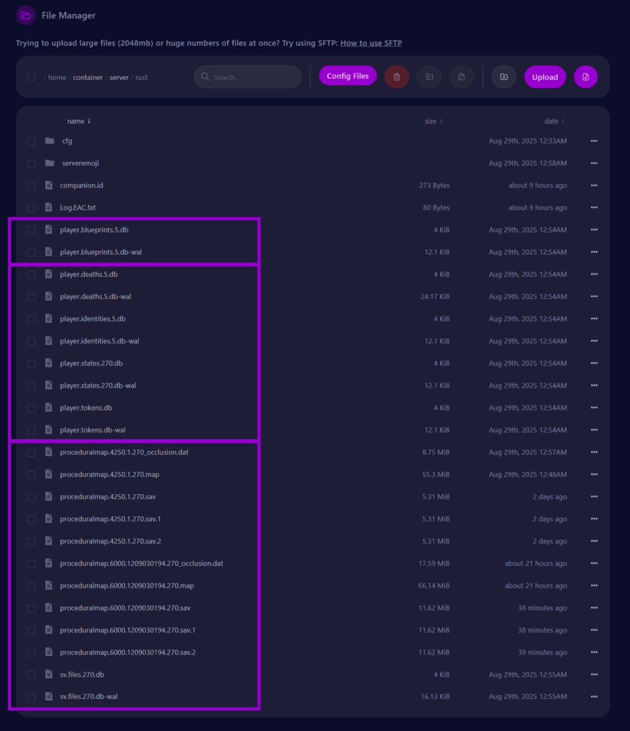 Cybrancee panel Rust startup page Files tab with select files outlined