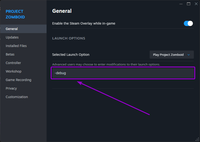 Launch parameters text box with the debug variable