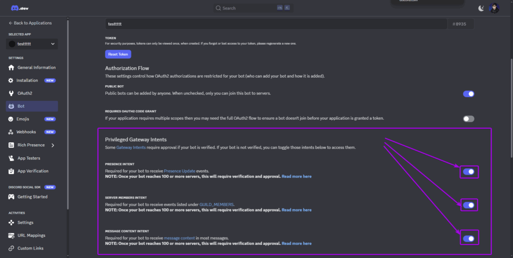 Discord Developer Portal, All privileged gateway intents enabled