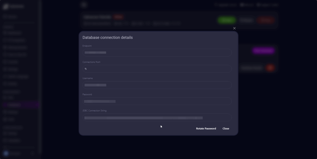 Cybrancee Panel Database Detail Dialog