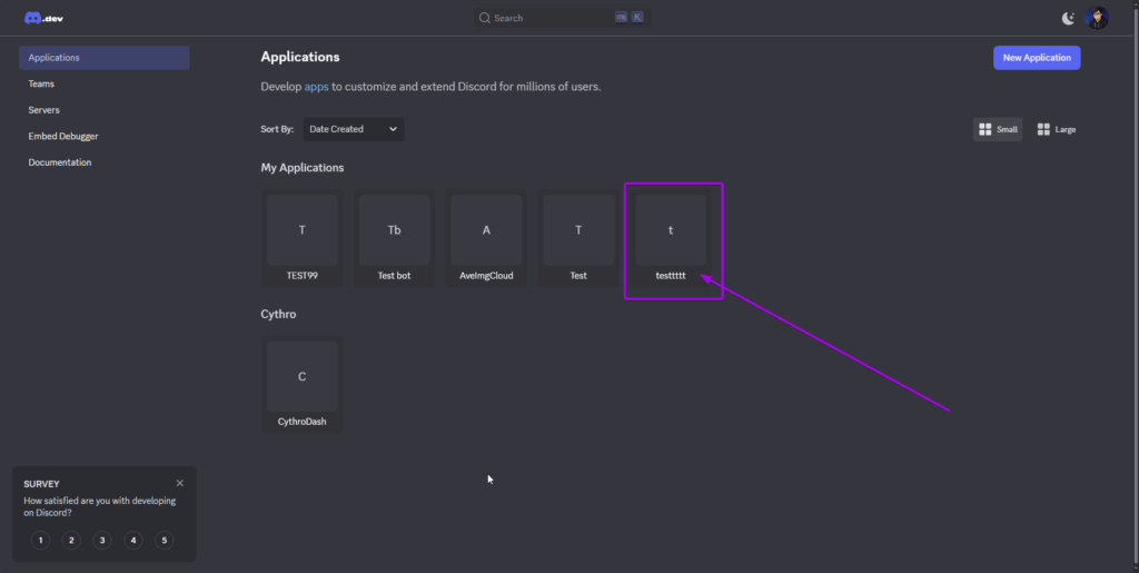 Discord Developer Portal, on the applications page. An application was highlighted