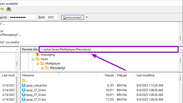 Pterodactyl folder path via SFTP