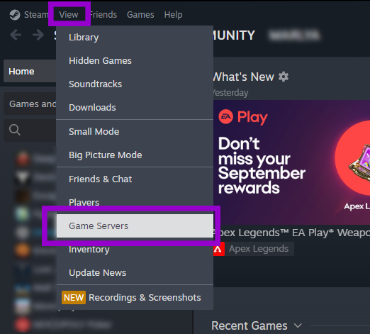 Steam view menu displaying game servers option outlined