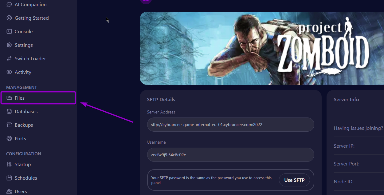 Cybrancee Panel Files Tab Project Zomboid Server outlined with arrow
