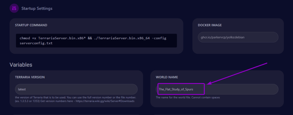 Cybrancee Panel Startup Tab World Name Custom World Name Outlined