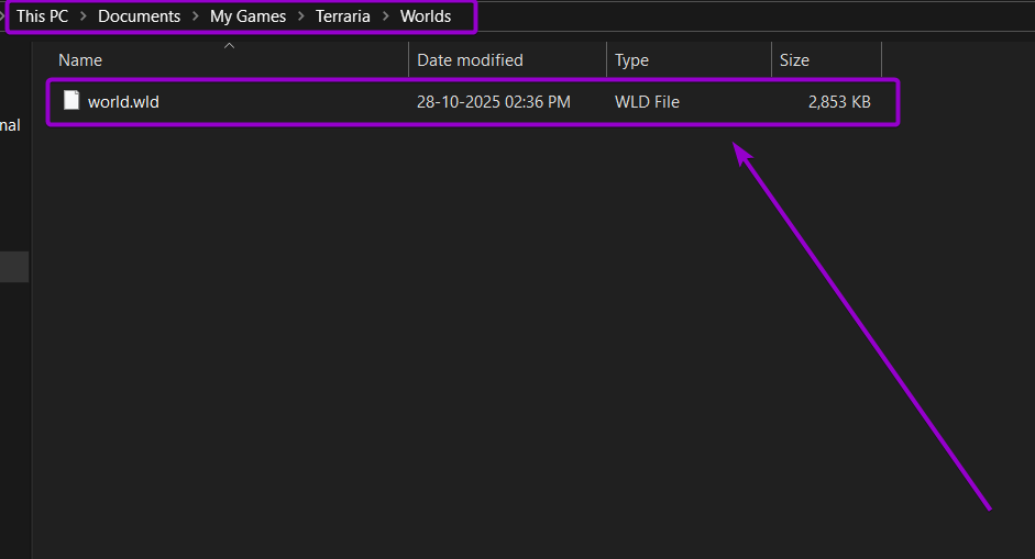 Terraria Saves Folder World File Outlined