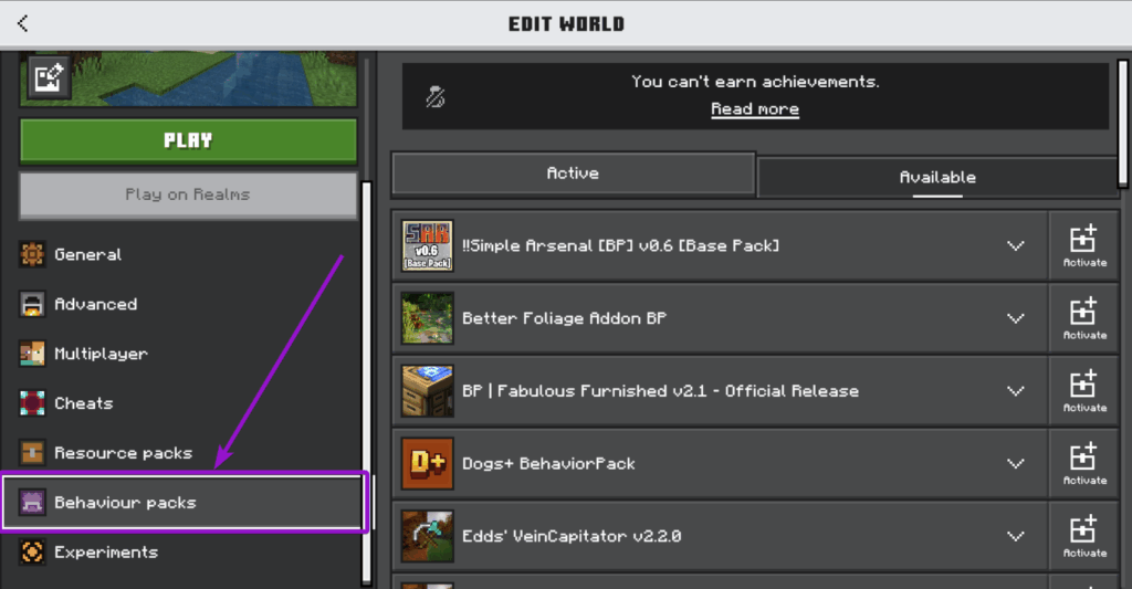 Screenshot of the Bedrock interface with Behaviour packs highlighted