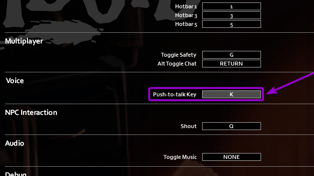 configure key to activate microphone in voice chat