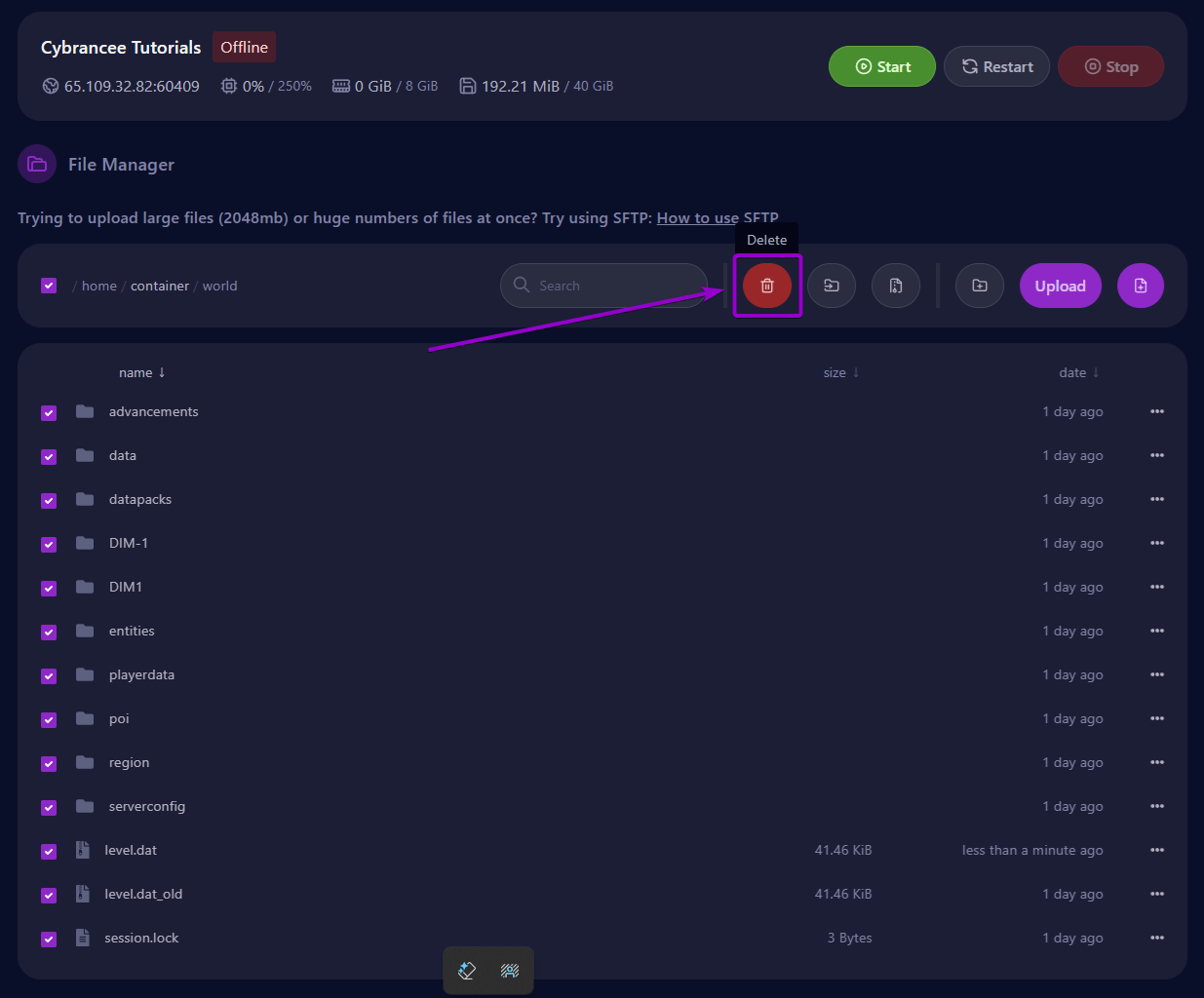 Clicking the delete button after selecting all files in the world folder.
