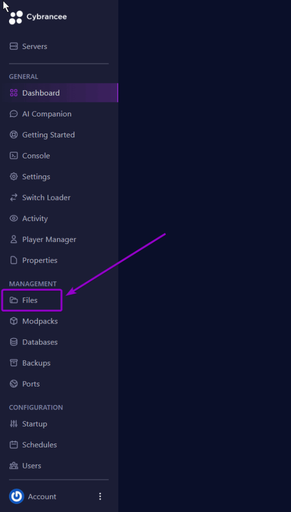 The Minecraft Files tab under the management section in the panel.