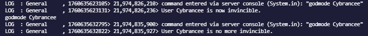 console result of entering the godmode command for the second time