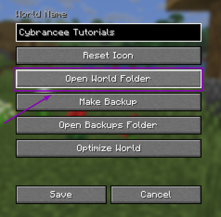 Minecraft world options for a Singleplayer world
