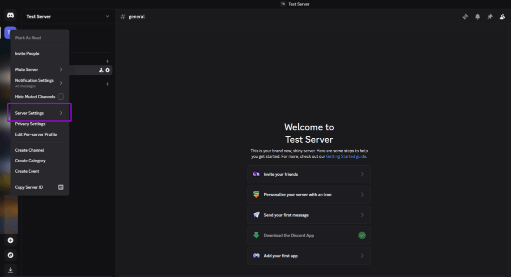 Discord Screenshot, Server Settings tab is highlighted