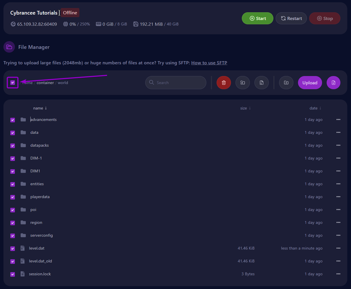 Selecting all the files in the world folder in the server files.