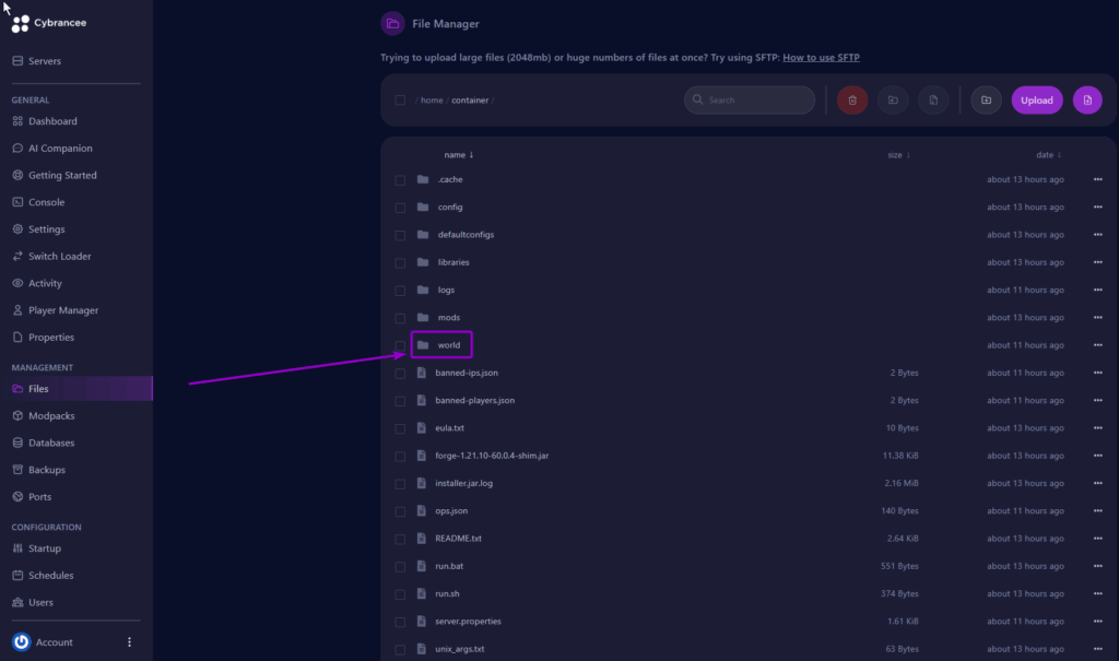 The worlds folder inside the Files tab of the Minecraft server.
