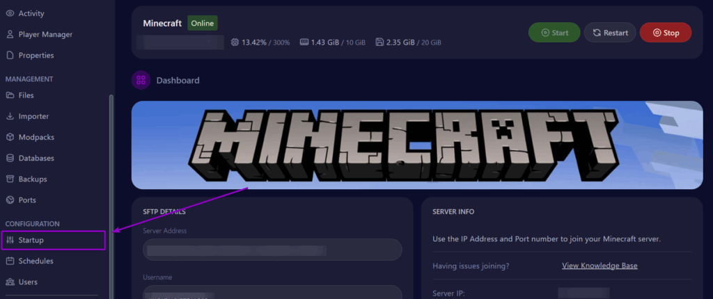 Cybrancee Minecraft Server Startup Tab Outlined
