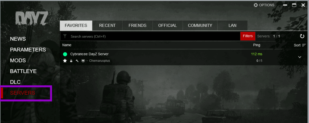 A screenshot of the DayZ client with the servers tab outlined