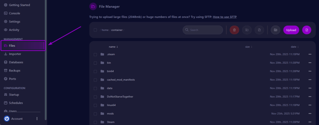 Opening Files Tab of Server Panel