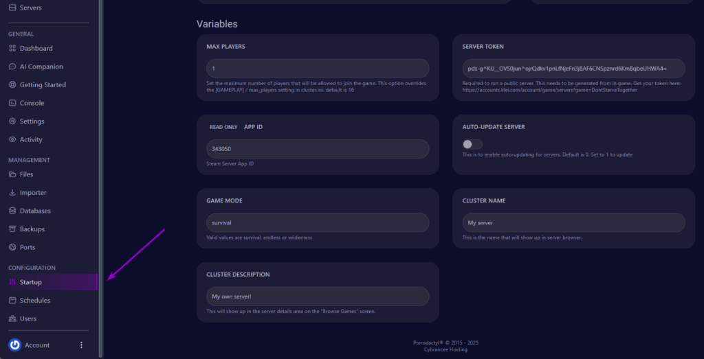 Opening Startup Tab in Cybrancee Panel
