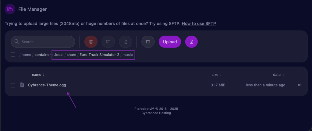 Cybrancee Panel with a music file uploaded to Music folder in ETS2 server