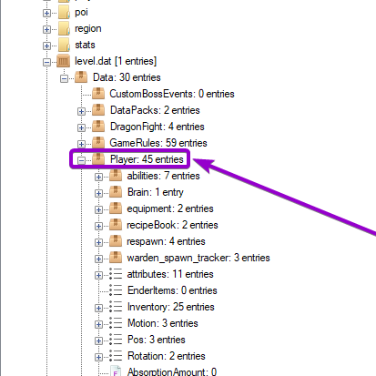 Selected 'Player' folder