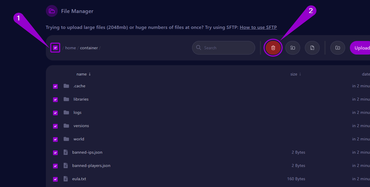 Steps to delete all files from the dedicated server