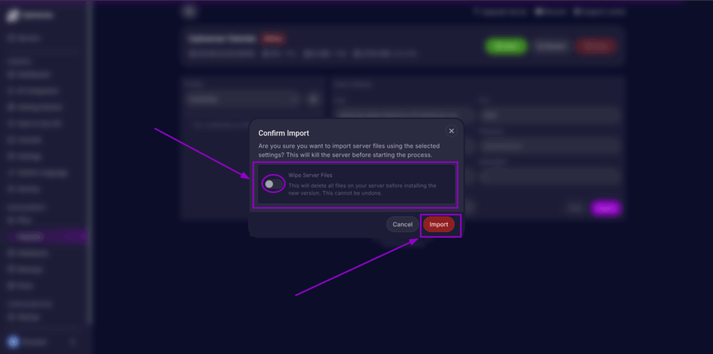 Cybrancee Panel, Importer page the confirmation is highlighted
