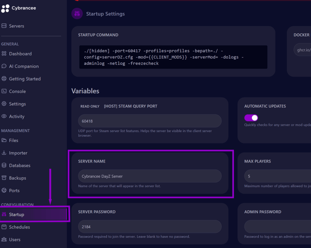 cybrancee panel dayz startup page and server name block outlined
