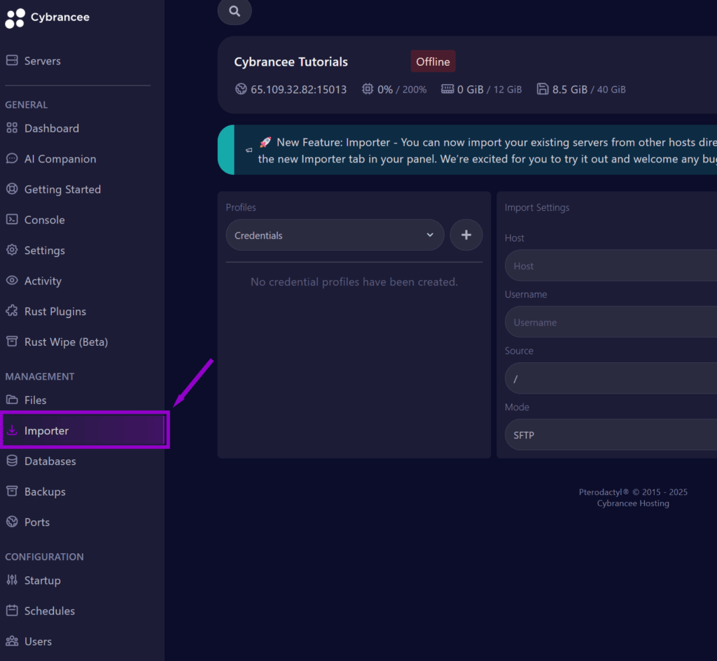 Cybrancee panel showing the Rust startup page with the importer tab outlined