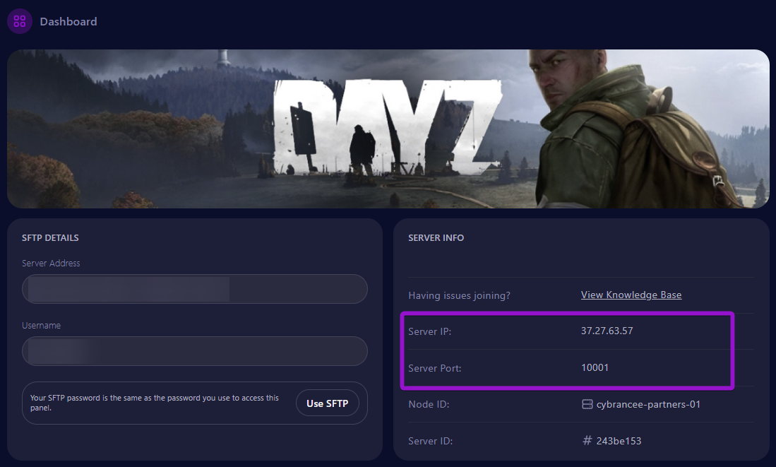 A screenshot of the Cybrancee control panel with the connection details highlighted