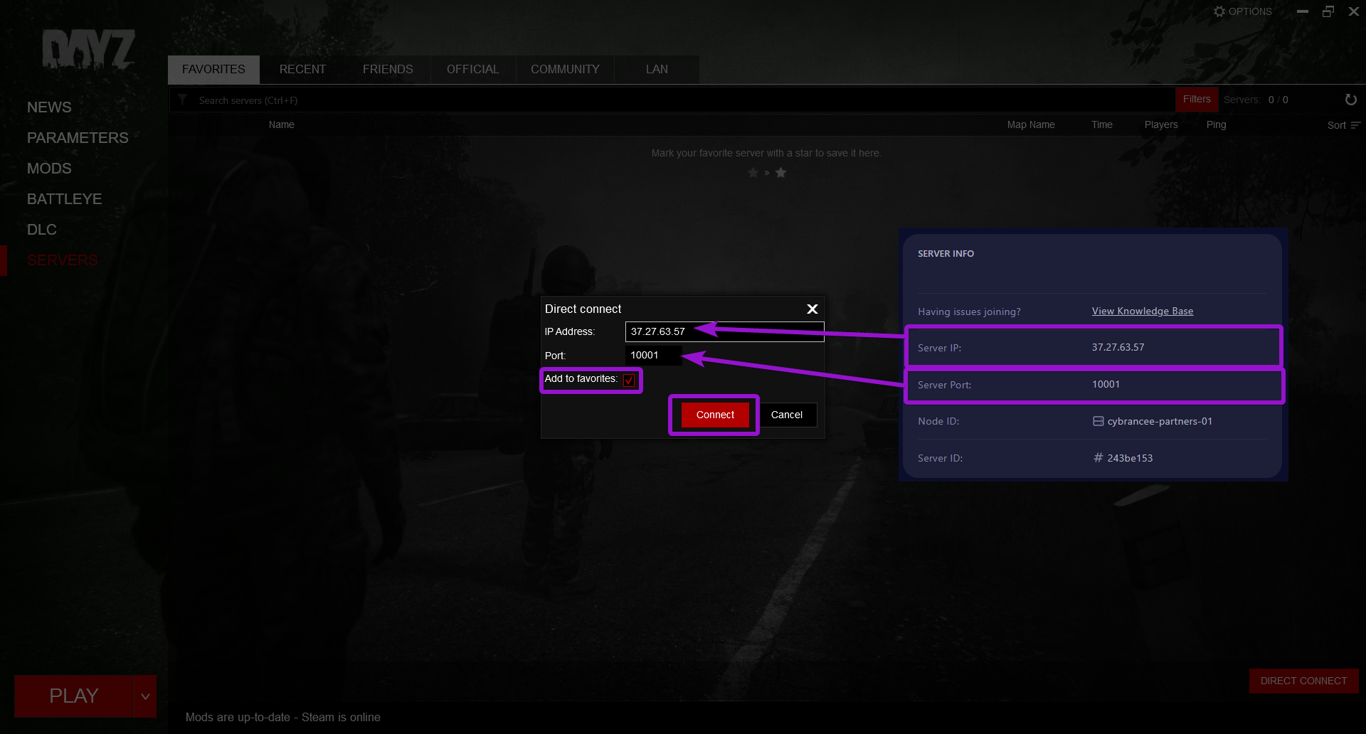 A screenshot of the DayZ client with the IP and Port entered into the connect details prompt