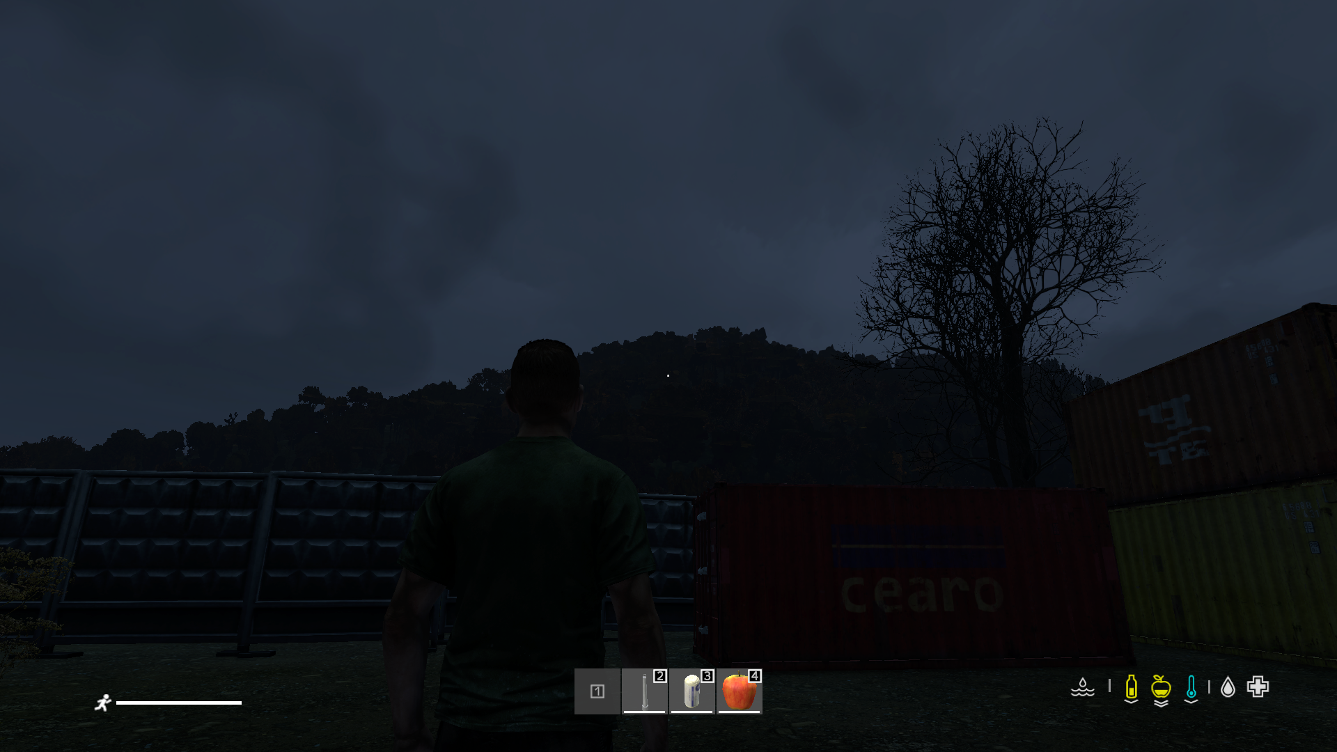 Screenshot of ingame DayZ