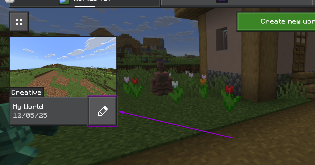 Button to edit a Minecraft Bedrock world