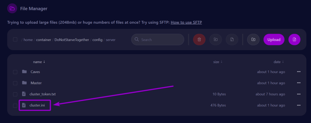 Cybrancee Dont Starve Together Server Files Tab Cluster File Outlined
