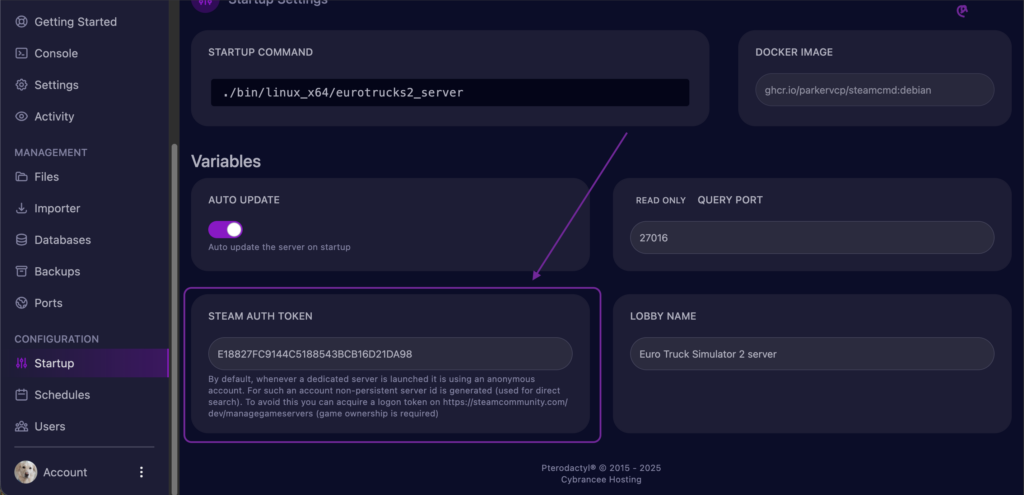 An image of Startup Tab inserting Steam Auth Token on Cybrancee Panel