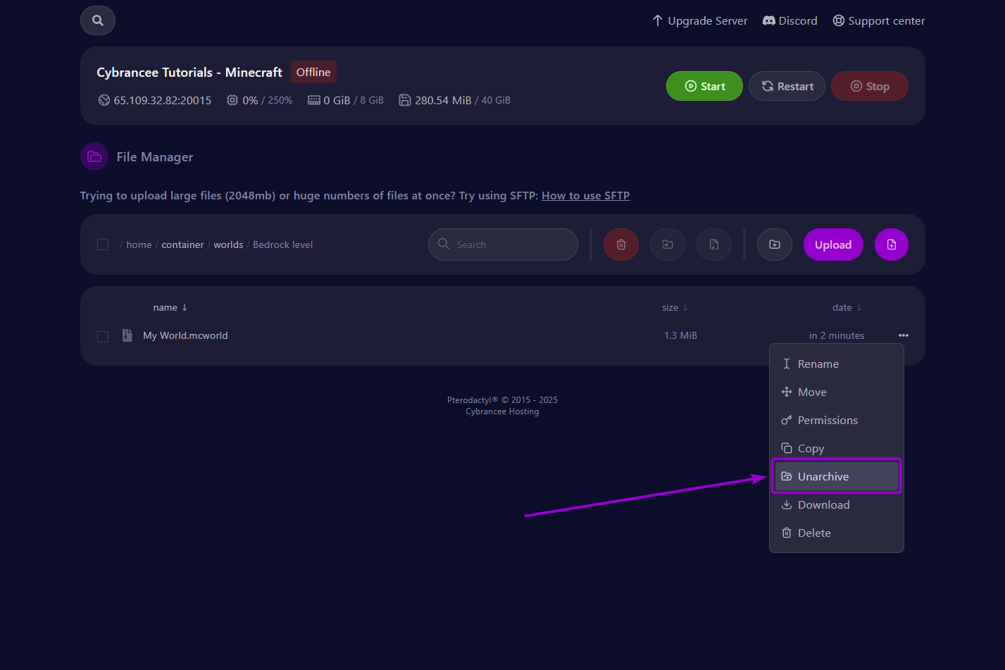 Unarchive the world file to the 'bedrock level' folder