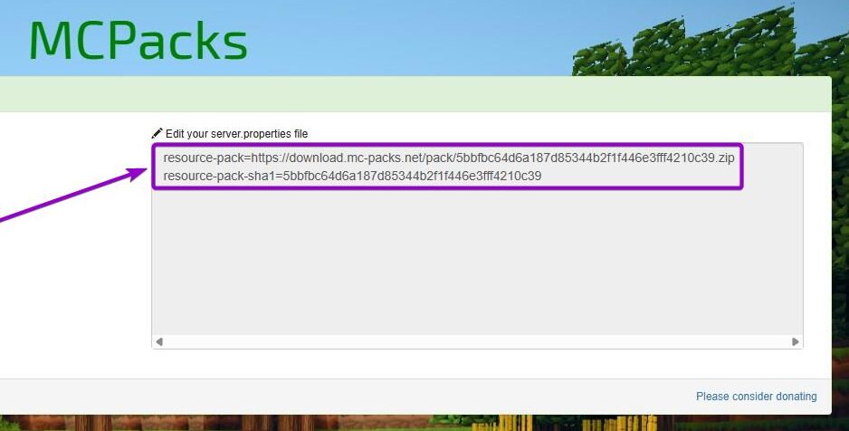 Values ​​to copy to the server.properties file